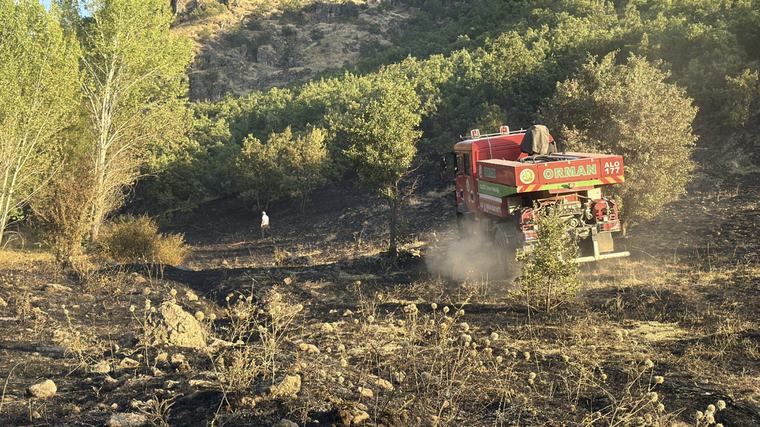 Karakoçan'da orman yangını söndürüldü