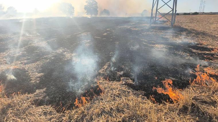 Kırklareli'nde iki farklı bölgede anız yangını