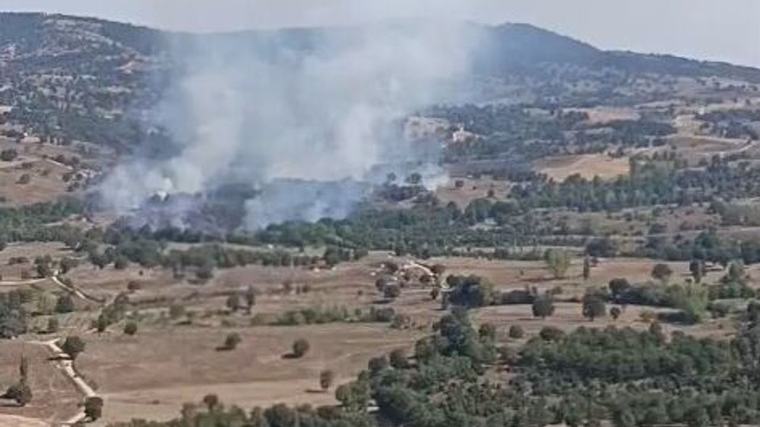 Bursa'da orman yangını