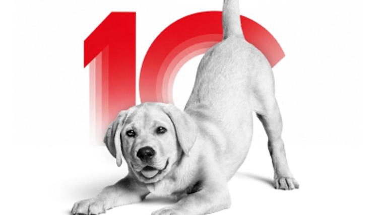 Kedi ve köpeklerin gizemli dünyasına davetlisin: Royal Canin Deneyim Evi'nde seni neler bekliyor?