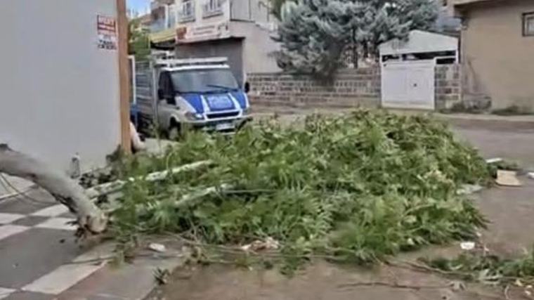 Şanlıurfa Siverek'te şiddetli fırtına hayatı olumsuz etkiledi