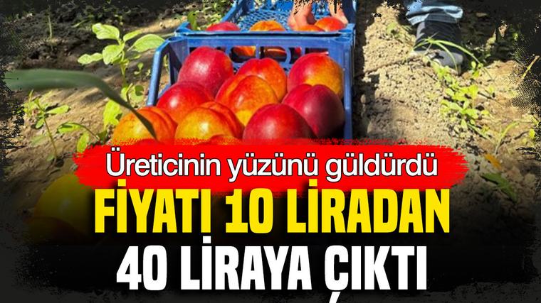 Fiyatı 10 liradan 40 liraya çıktı: Üreticisinin yüzünü güldürdü