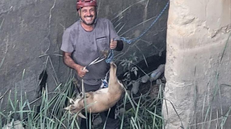 Elazığ Palu’da havuzda mahsur kalan dağ keçisi kurtarıldı
