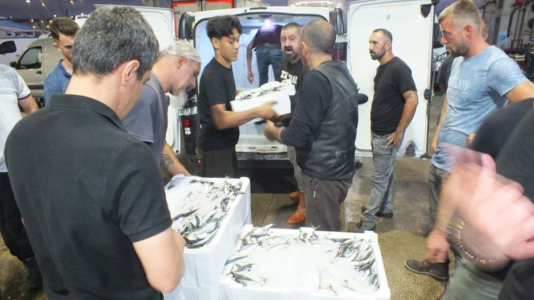 Bandırma Balık Hali’nde sezonun ilk günü hareketli başladı