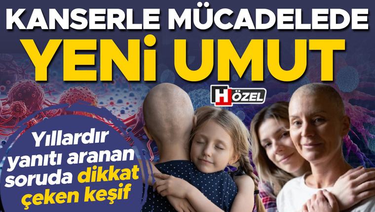 Kanserle mücadelede yeni umut! Yıllardır yanıtı aranan soruda ezber bozan gelişme