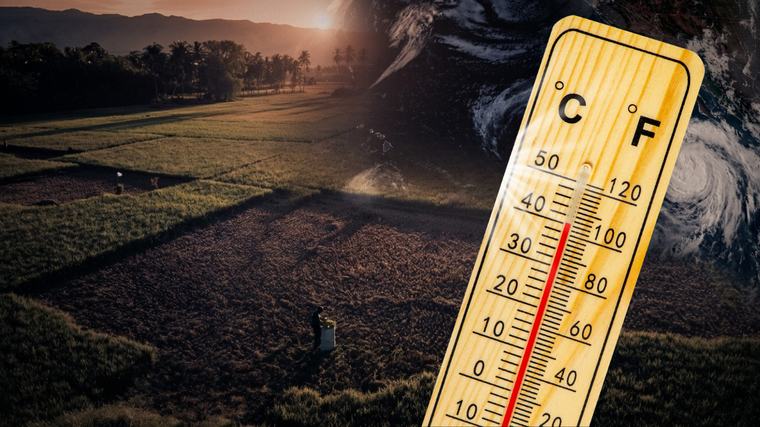 Son bin yılın en güçlü El Nino olayı yolda! 50 milyon kişi etkilenecek: Vatandaşlara 'Erzak stoklayın' uyarısı