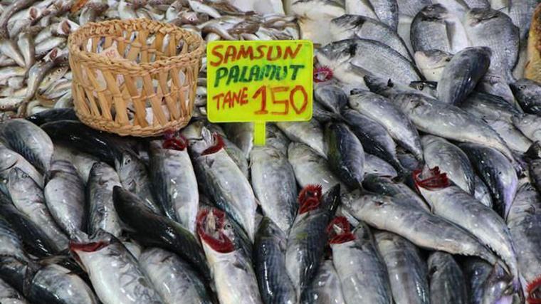 Tezgahlarda Palamut Şenliği!