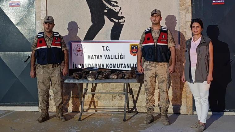 Hatay'da yasadışı avcılık operasyonu: 7 arı şahinini vuran kişiye rekor ceza