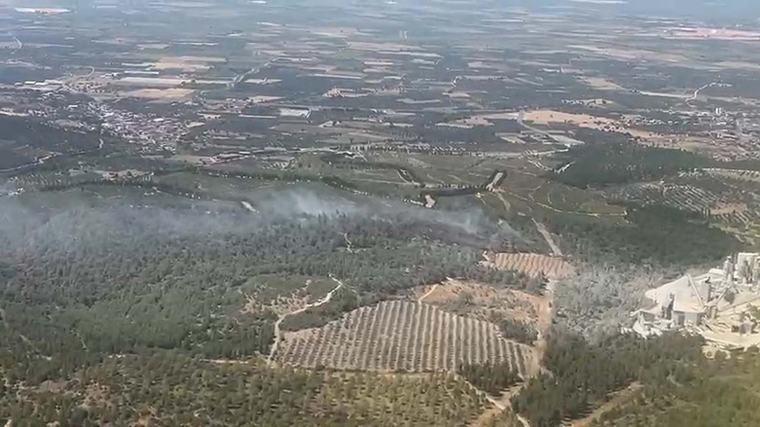 Manisa'da orman yangını