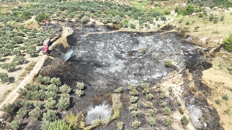 Hatay Antakya'da zeytinlik yangını evlere sıçramadan söndürüldü
