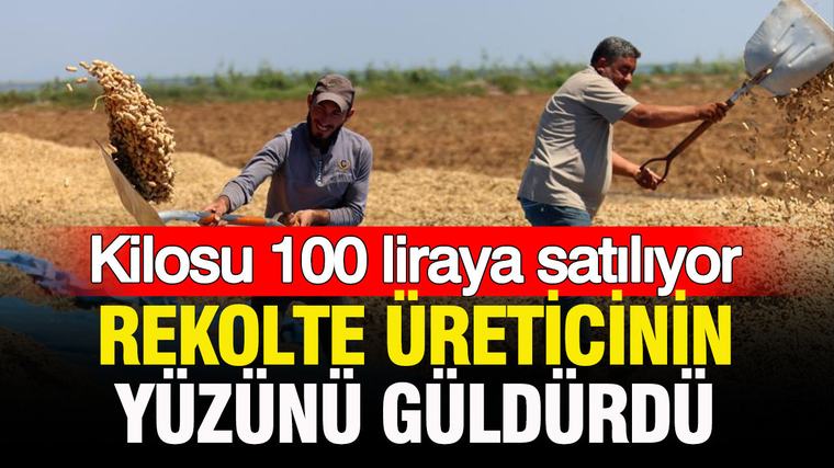 Rekolte üreticiyi memnun etti: Kilosu 100 liradan satılıyor