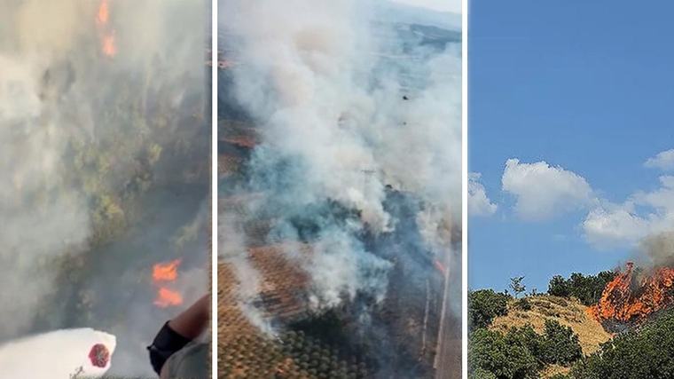Manisa Soma'da orman yangını