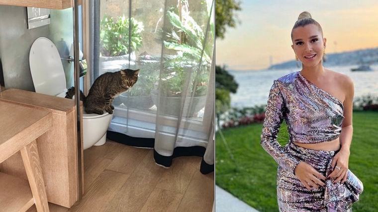 Sabancıların kedisi klozet kullanıyor: Pınar Sabancı'nın paylaşımına beğeni yağdı
