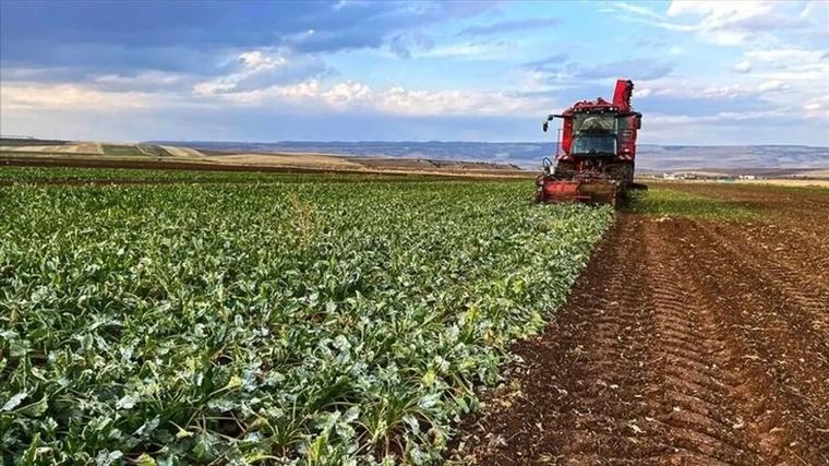 2027 ÇKS başvurusu nasıl yapılır, son tarih ne zaman, e-Devlet’ten yenileme yapılır mı, kimler başvurabilir, tarımsal destekler için ÇKS şart mı?