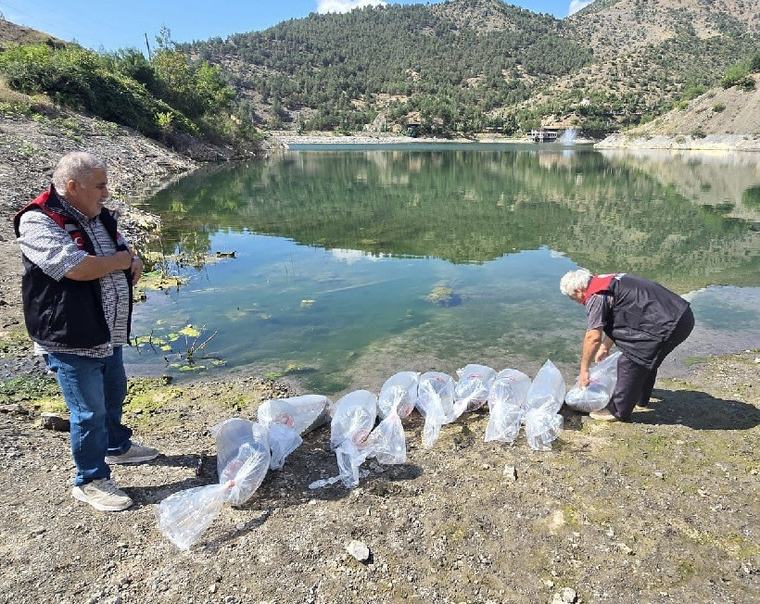 Bitpazarından 65 liraya aldı, 600 yıllık Çin hazinesi çıktı!